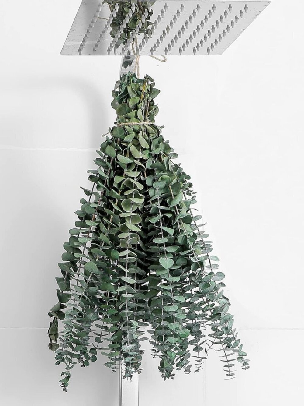 12 Pcs Dried Eucalyptus Stems 17" Real Eucalyptus for Shower Hanging DIY Decor